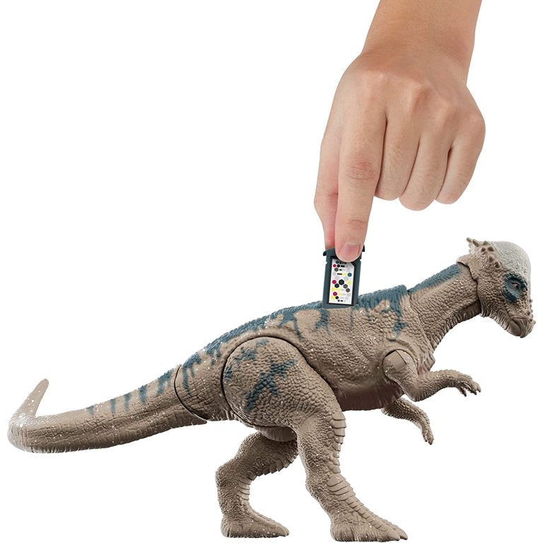 Jurassic World Legacy Collection Pachycephalosaurus Action Figure