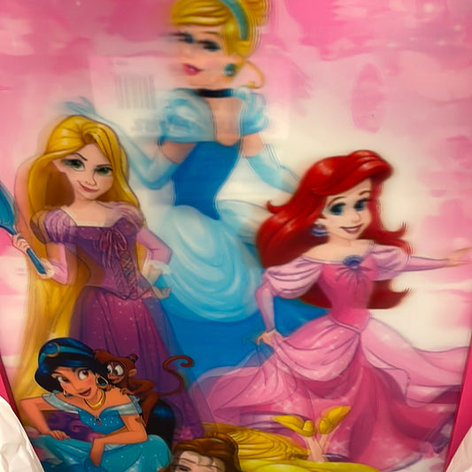 Disney Pricess 10X20 Inch